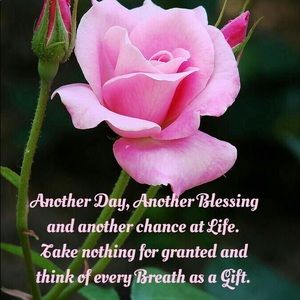 Meet your Posher, Denise